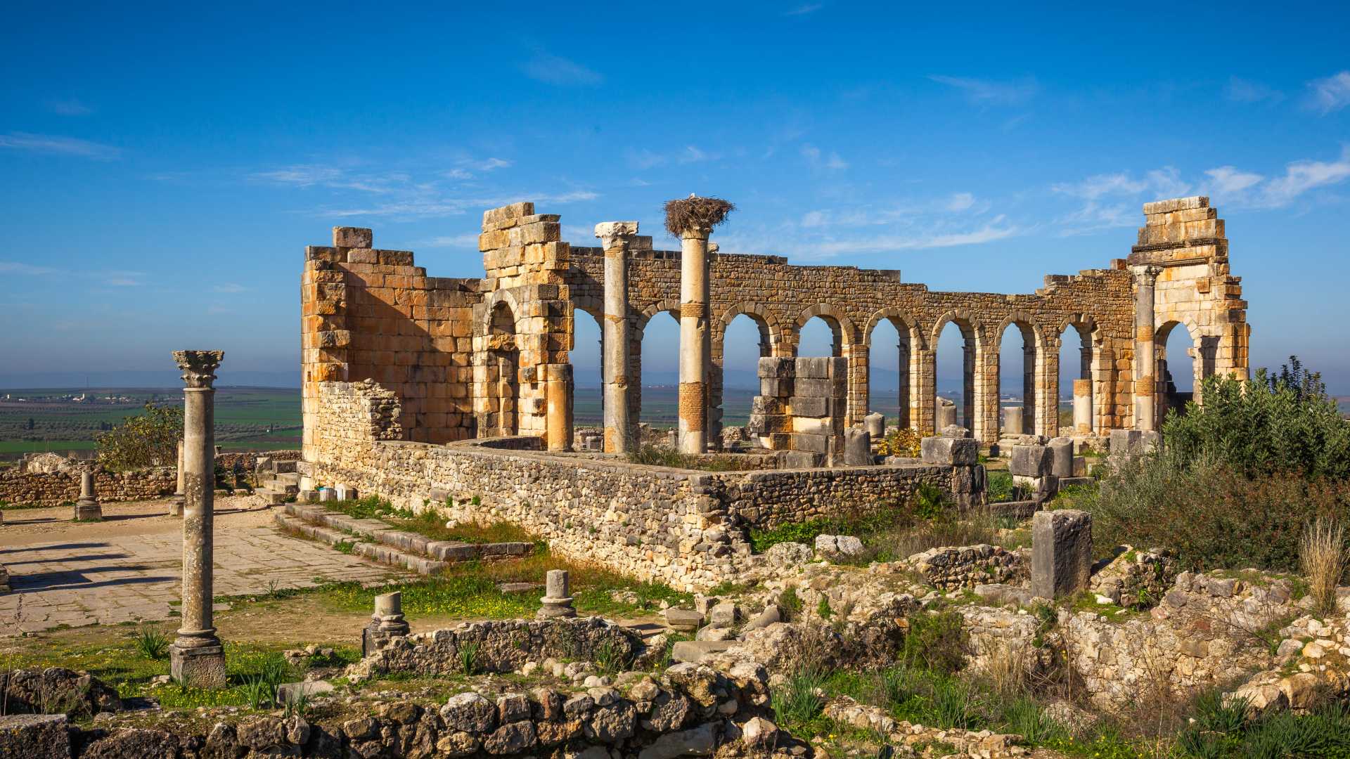 Volubilis Moulay Idriss and Meknes Tour